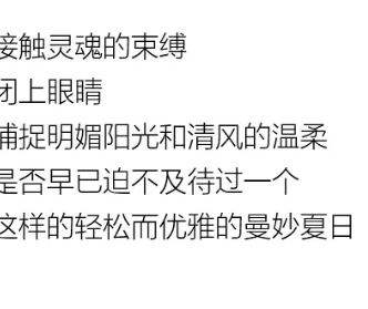 YF | 夏 你好，盛夏隨心型走
